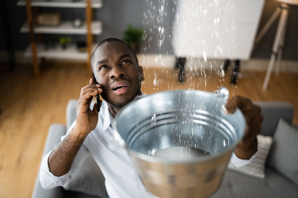 Best Water damage restoration near me  in Fall City, WA
