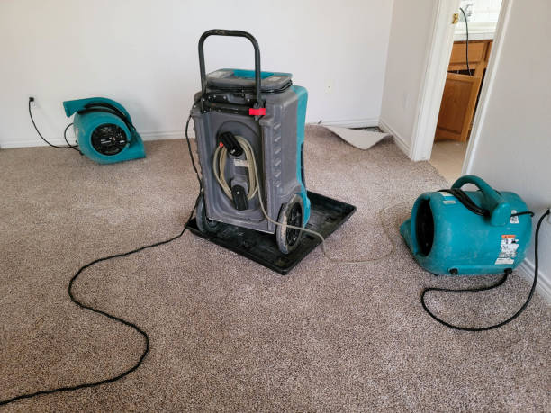 Best Fire Damage Restoration  in Fall City, WA