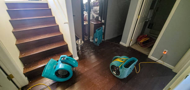 Best Water damage cleanup near me  in Fall City, WA