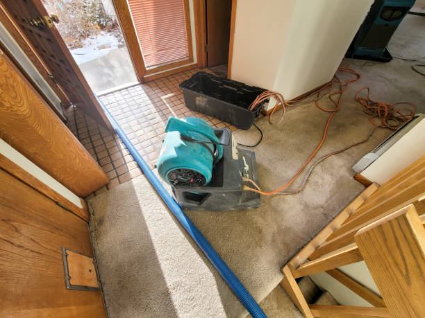 Best Flood damage cleanup  in Fall City, WA