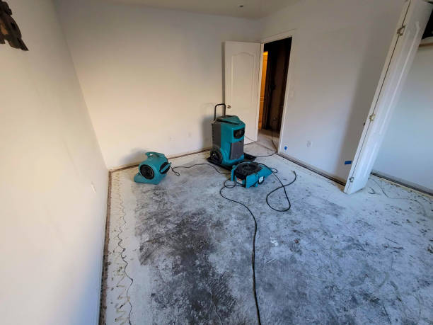 Best 24/7 water damage repair  in Fall City, WA