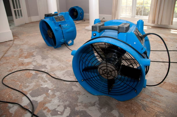 Best Sewage cleanup and water damage restoration  in Fall City, WA