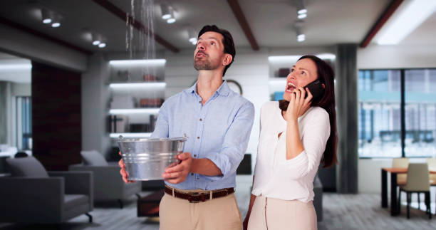 Best Flooded house restoration  in Fall City, WA